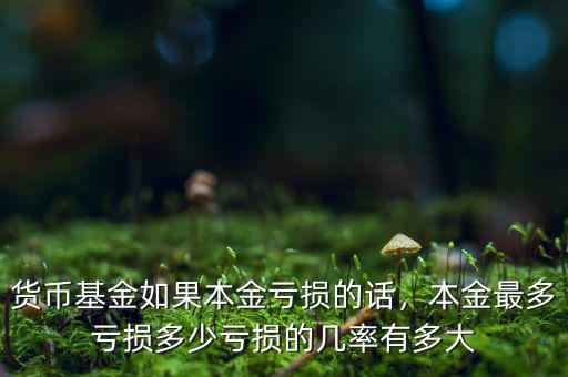 貨幣基金如果本金虧損的話，本金最多虧損多少虧損的幾率有多大