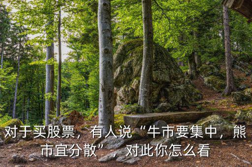 對于買股票，有人說“牛市要集中，熊市宜分散”，對此你怎么看