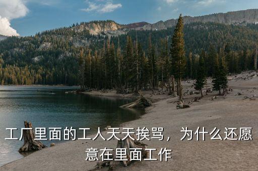 工廠里面的工人天天挨罵，為什么還愿意在里面工作