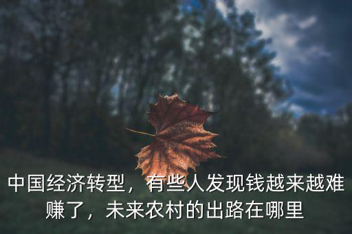 中國(guó)經(jīng)濟(jì)轉(zhuǎn)型，有些人發(fā)現(xiàn)錢越來越難賺了，未來農(nóng)村的出路在哪里