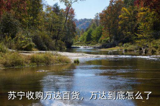 蘇寧收購萬達百貨，萬達到底怎么了
