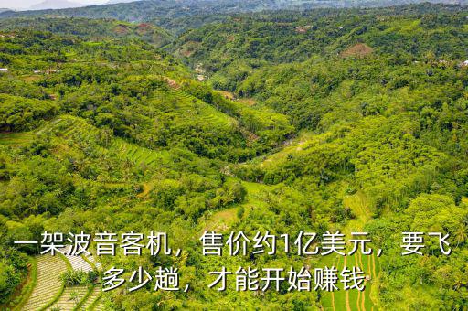 波音一架飛機(jī)利潤(rùn)多少,一架波音客機(jī)