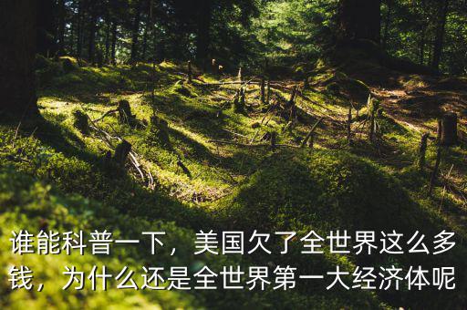 誰能科普一下，美國欠了全世界這么多錢，為什么還是全世界第一大經濟體呢