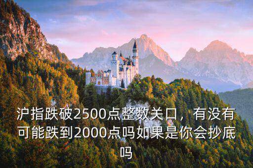 滬指跌破2500點整數關口，有沒有可能跌到2000點嗎如果是你會抄底嗎