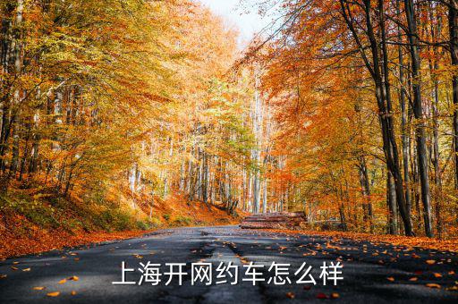 上海開(kāi)網(wǎng)約車怎么樣