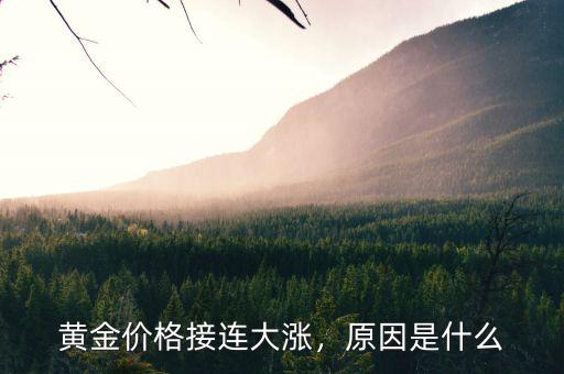 黃金價格接連大漲，原因是什么