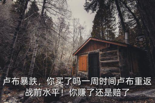 盧布暴跌，你買了嗎一周時(shí)間盧布重返戰(zhàn)前水平！你賺了還是賠了