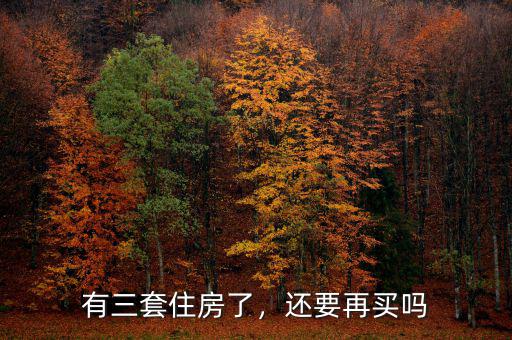 有三套住房了，還要再買嗎