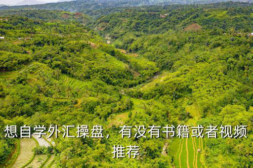 想自學(xué)外匯操盤，有沒(méi)有書籍或者視頻推薦