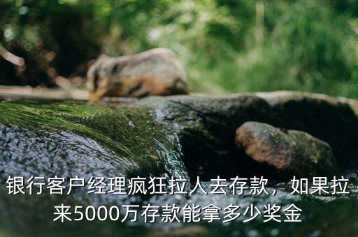 銀行客戶經(jīng)理瘋狂拉人去存款，如果拉來5000萬存款能拿多少獎金