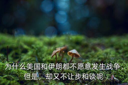 為什么美國和伊朗都不愿意發(fā)生戰(zhàn)爭，但是，卻又不讓步和談呢