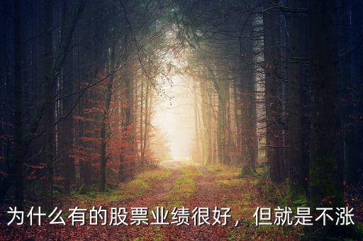 為什么有的股票業(yè)績(jī)很好，但就是不漲