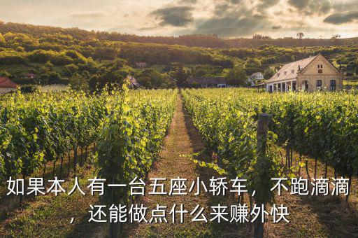 如果本人有一臺五座小轎車，不跑滴滴，還能做點什么來賺外快