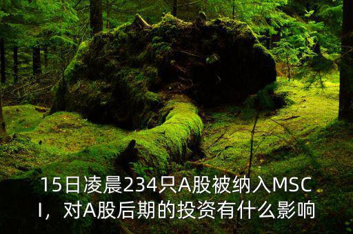 15日凌晨234只A股被納入MSCI，對A股后期的投資有什么影響