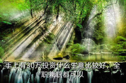 手上有30萬投資什么生意比較好，全職兼職都可以