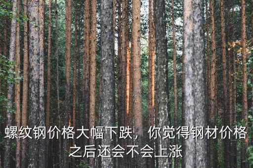 螺紋鋼價(jià)格大幅下跌，你覺(jué)得鋼材價(jià)格之后還會(huì)不會(huì)上漲