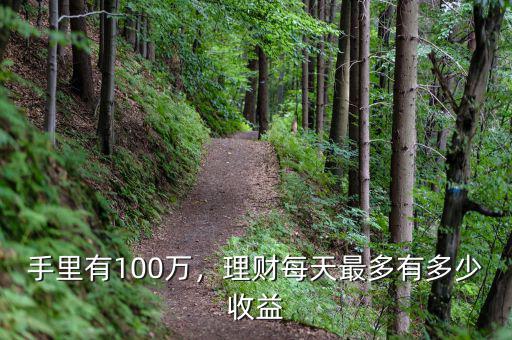 手里有100萬，理財(cái)每天最多有多少收益