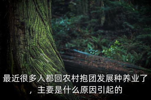 最近很多人都回農(nóng)村抱團(tuán)發(fā)展種養(yǎng)業(yè)了，主要是什么原因引起的