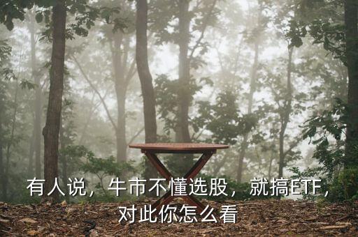 有人說，牛市不懂選股，就搞ETF，對此你怎么看