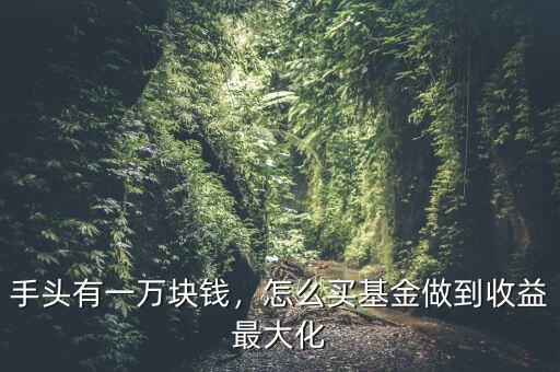 手頭有一萬(wàn)塊錢，怎么買基金做到收益最大化