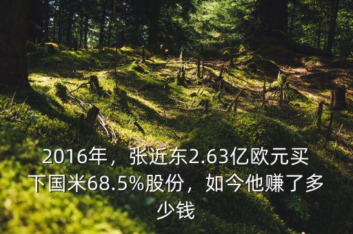 2016年，張近東2.63億歐元買下國米68.5%股份，如今他賺了多少錢