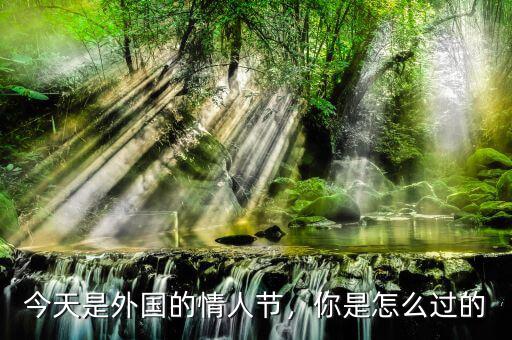 今天是外國的情人節(jié)，你是怎么過的