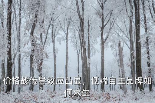 價格戰(zhàn)傳導效應凸顯，低端自主品牌如何求生
