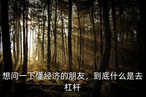 想問(wèn)一下懂經(jīng)濟(jì)的朋友，到底什么是去杠桿