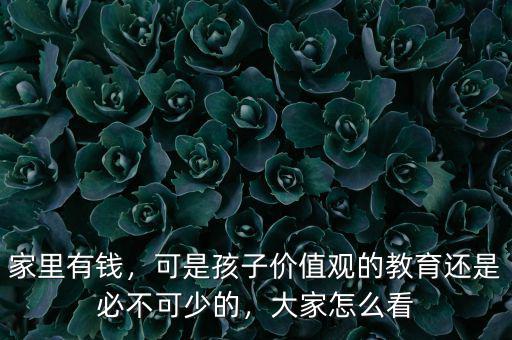 家里有錢，可是孩子價值觀的教育還是必不可少的，大家怎么看