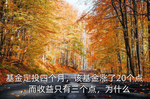 基金定投四個(gè)月，該基金漲了20個(gè)點(diǎn)，而收益只有三個(gè)點(diǎn)，為什么