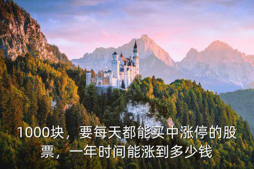 1000塊，要每天都能買中漲停的股票，一年時(shí)間能漲到多少錢