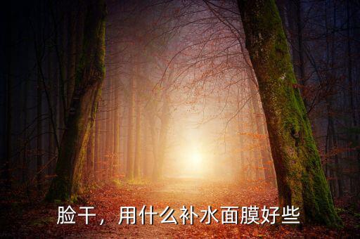臉干，用什么補(bǔ)水面膜好些