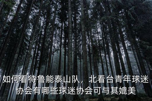如何看待魯能泰山隊，北看臺青年球迷協(xié)會有哪些球迷協(xié)會可與其媲美