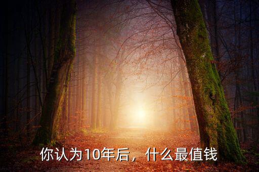 你認為10年后，什么最值錢