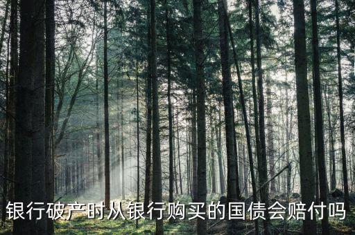 銀行破產(chǎn)時(shí)從銀行購買的國債會賠付嗎