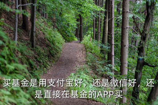 買基金是用支付寶好，還是微信好，還是直接在基金的APP買