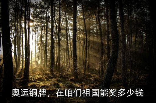奧運(yùn)銅牌，在咱們祖國能獎多少錢