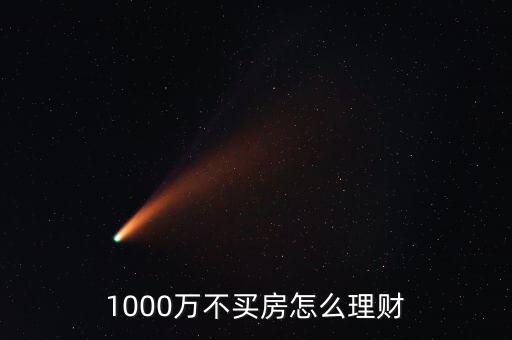 1000萬(wàn)不買(mǎi)房怎么理財(cái)