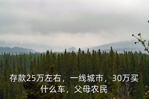 存款25萬(wàn)左右，一線城市，30萬(wàn)買(mǎi)什么車，父母農(nóng)民