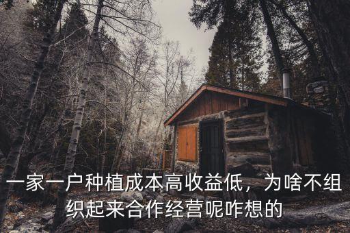 一家一戶種植成本高收益低，為啥不組織起來合作經(jīng)營呢咋想的