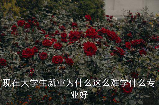 現(xiàn)在大學(xué)生就業(yè)為什么這么難學(xué)什么專(zhuān)業(yè)好