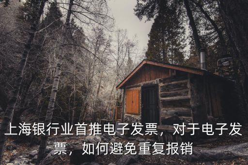 上海銀行業(yè)首推電子發(fā)票，對(duì)于電子發(fā)票，如何避免重復(fù)報(bào)銷(xiāo)