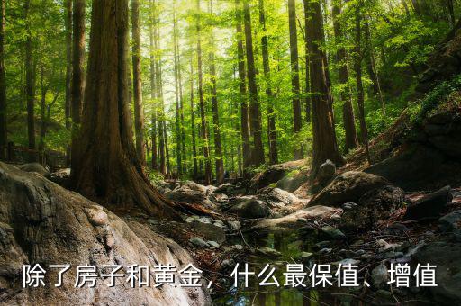除了房子和黃金，什么最保值、增值