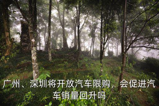 廣州、深圳將開放汽車限購，會促進汽車銷量回升嗎