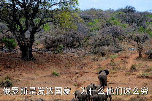 俄羅斯是發(fā)達(dá)國(guó)家，為什么他們這么窮