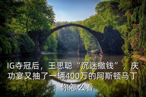 IG奪冠后，王思聰“沉迷撒錢”，慶功宴又抽了一輛400萬的阿斯頓馬丁，你怎么看
