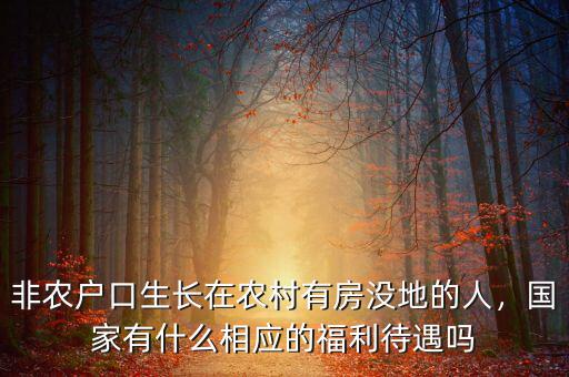 非農(nóng)戶口生長在農(nóng)村有房沒地的人，國家有什么相應(yīng)的福利待遇嗎