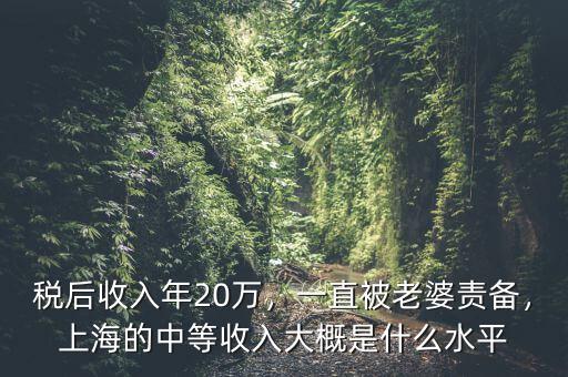 稅后收入年20萬(wàn)，一直被老婆責(zé)備，上海的中等收入大概是什么水平