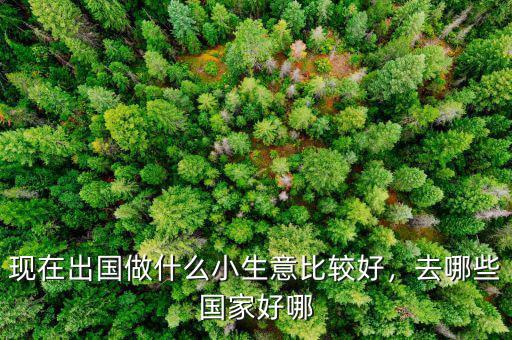 現(xiàn)在出國做什么小生意比較好，去哪些國家好哪