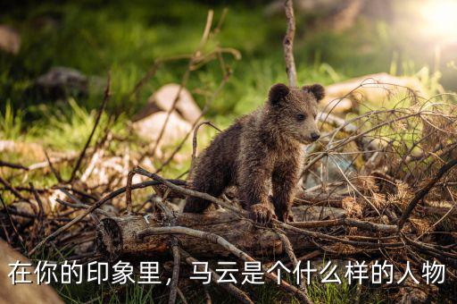在你的印象里，馬云是個什么樣的人物